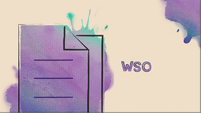 World Stroke Organization Guidelines